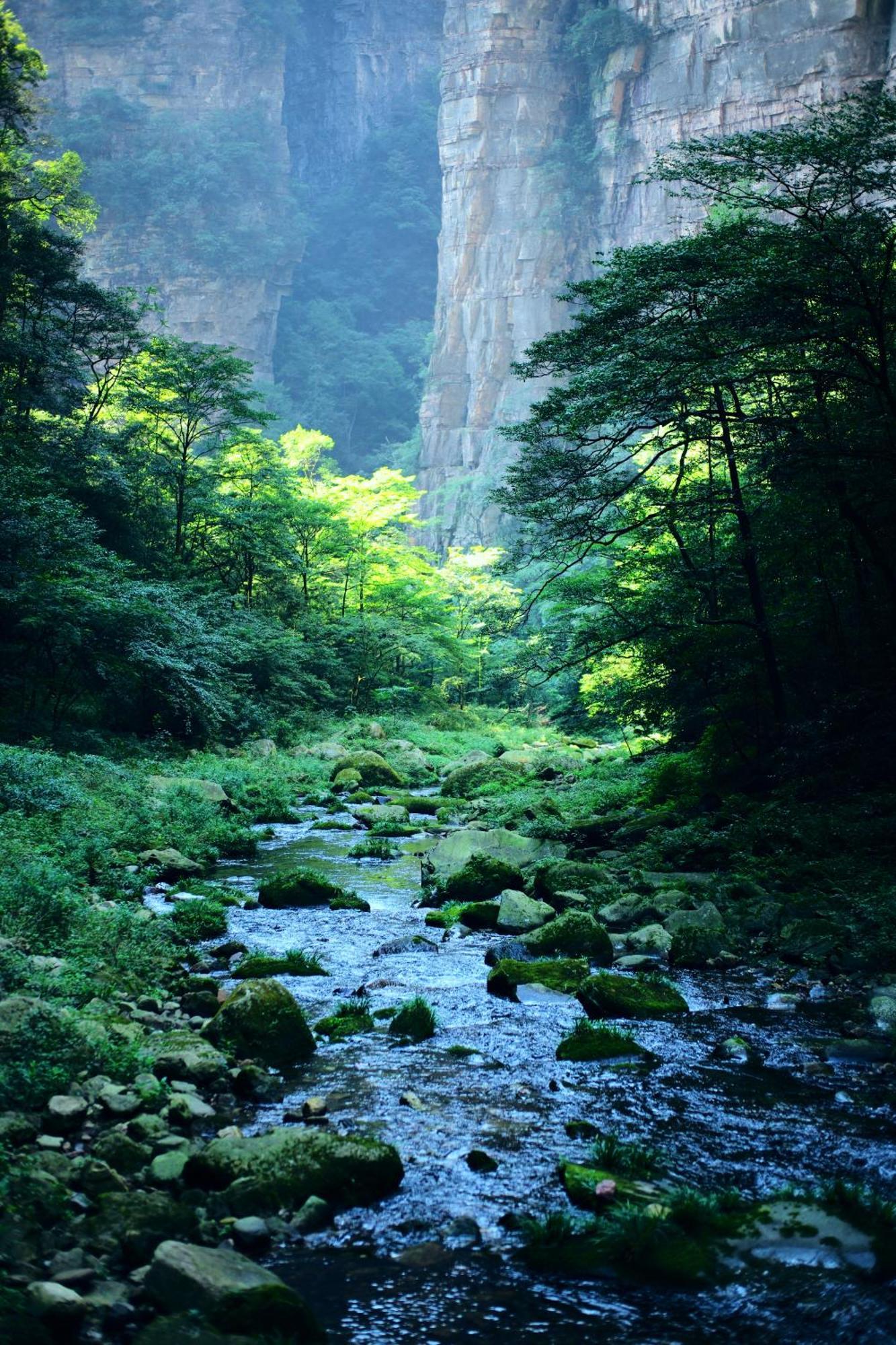 Zhangjiajie Forest Park Youth Hostel ภายนอก รูปภาพ