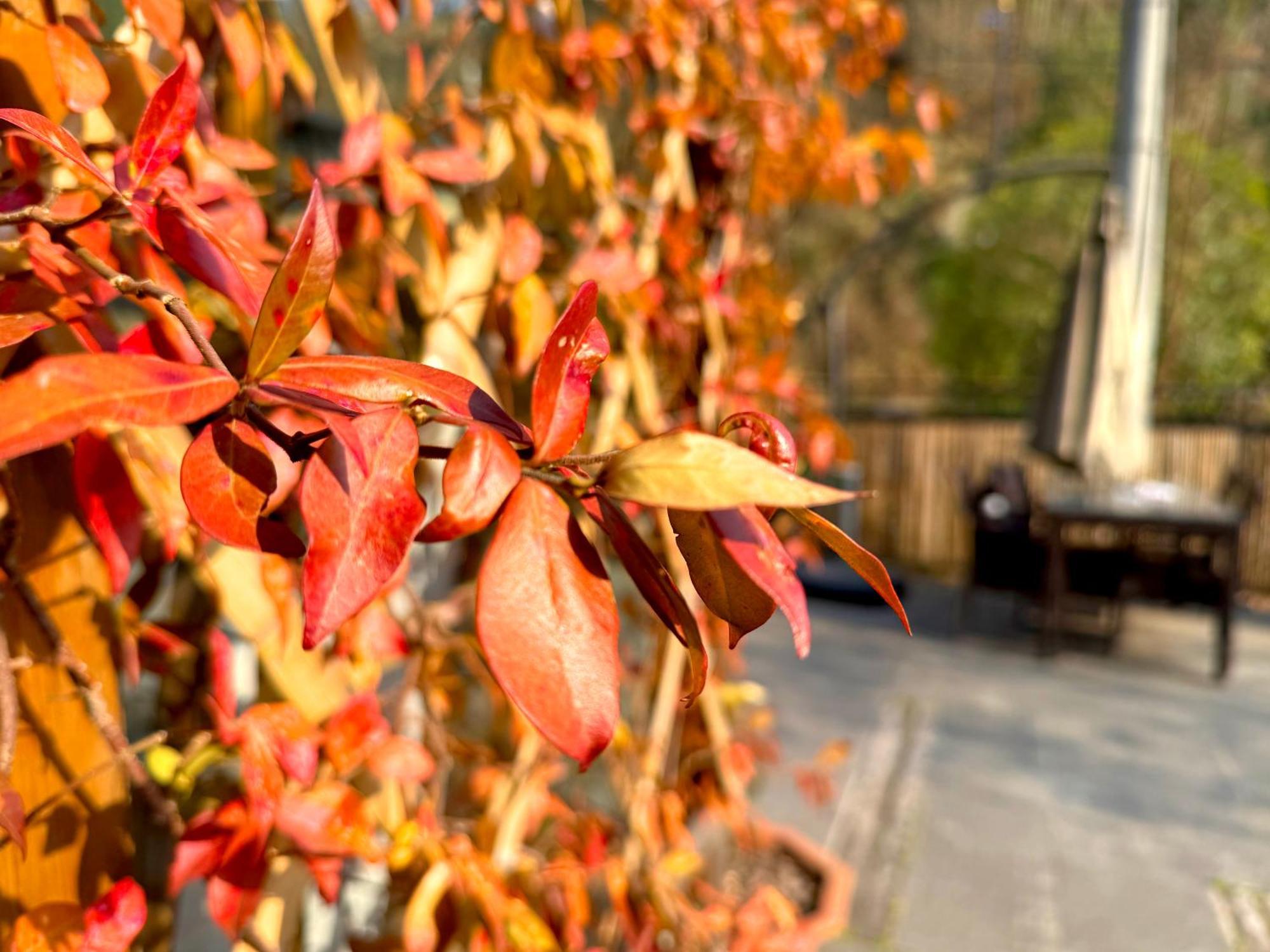 Zhangjiajie Forest Park Youth Hostel ภายนอก รูปภาพ