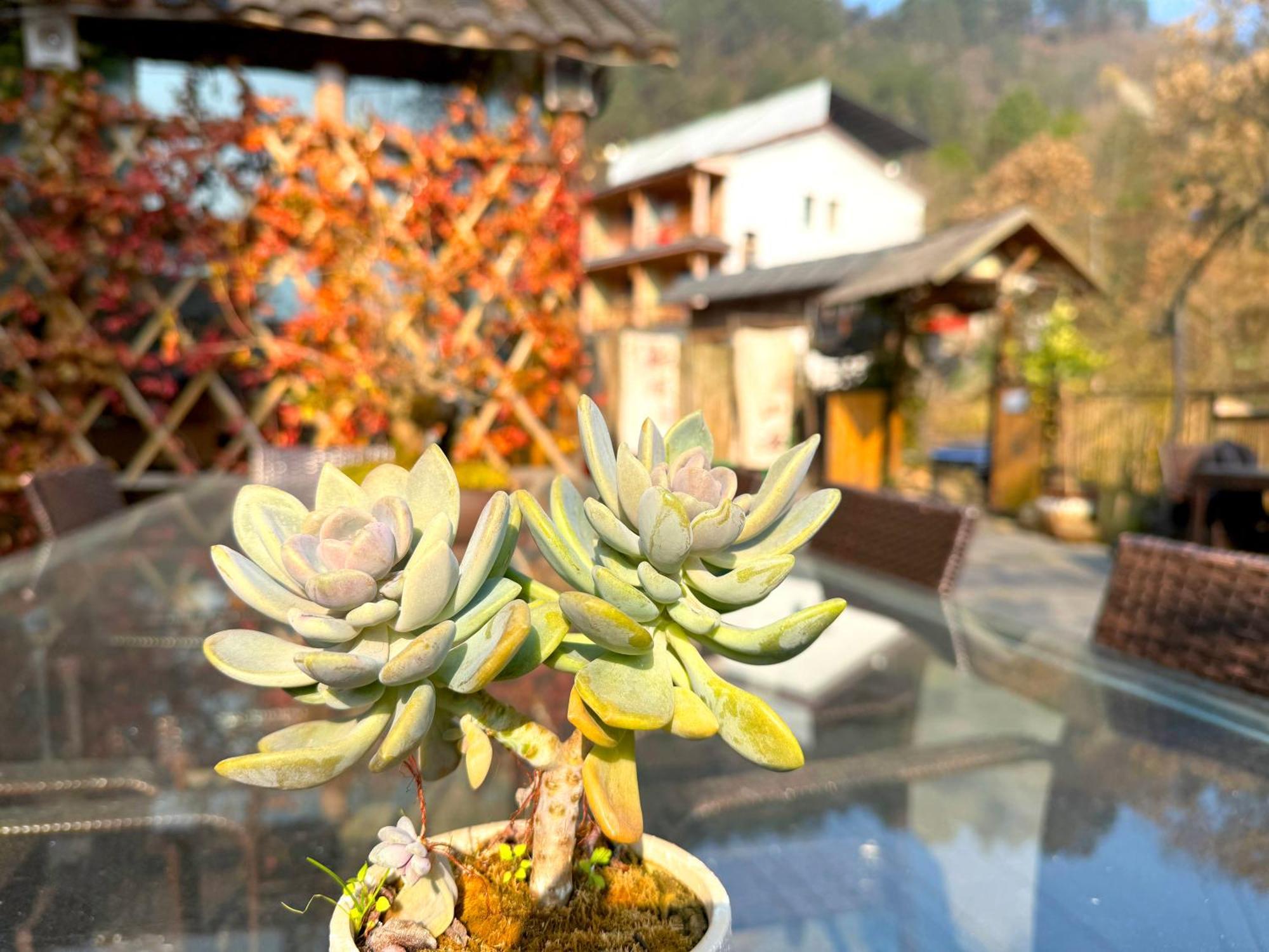 Zhangjiajie Forest Park Youth Hostel ภายนอก รูปภาพ